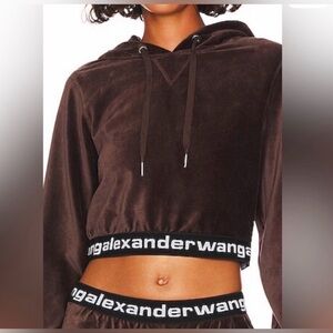 Alexander Wang Brown Velour Hoodie Le Hoddie logo